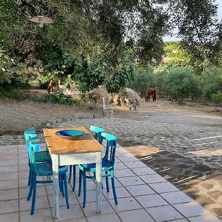 Bed and Breakfast Sa Ruscitta SantʼAntìoco Zewnętrze zdjęcie