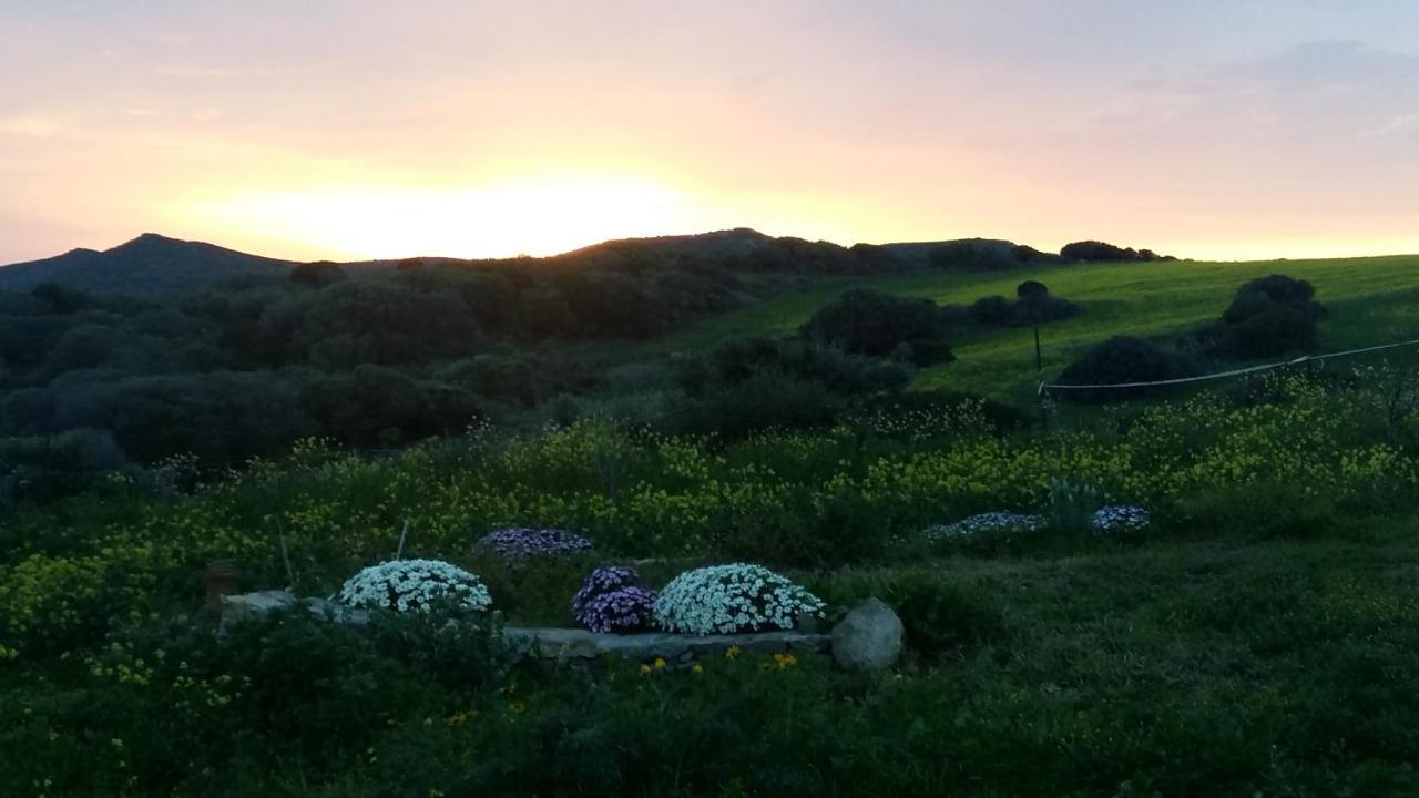 Bed and Breakfast Sa Ruscitta SantʼAntìoco Zewnętrze zdjęcie